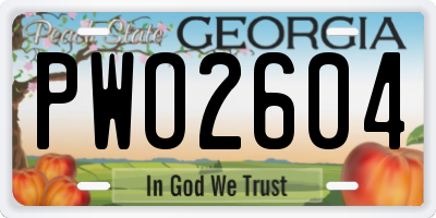GA license plate PWO2604