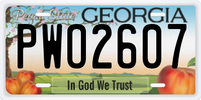 GA license plate PWO2607