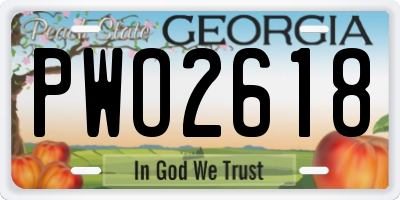 GA license plate PWO2618