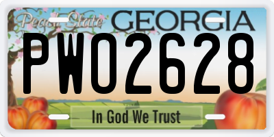 GA license plate PWO2628