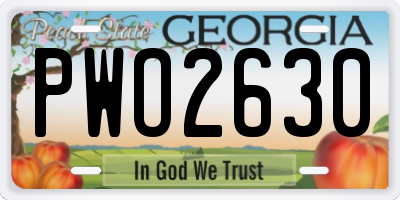 GA license plate PWO2630