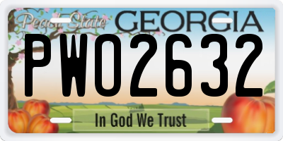 GA license plate PWO2632