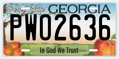 GA license plate PWO2636