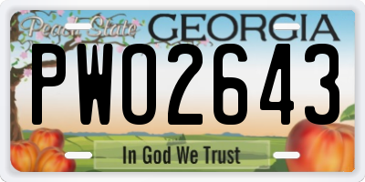 GA license plate PWO2643