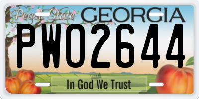 GA license plate PWO2644