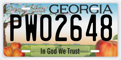 GA license plate PWO2648