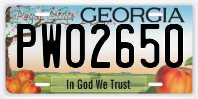 GA license plate PWO2650