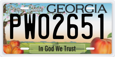 GA license plate PWO2651