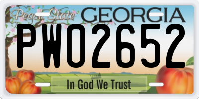 GA license plate PWO2652