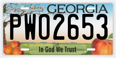 GA license plate PWO2653