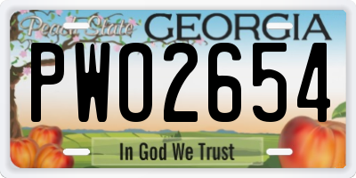 GA license plate PWO2654