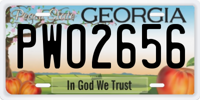 GA license plate PWO2656