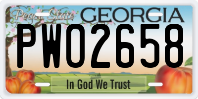 GA license plate PWO2658
