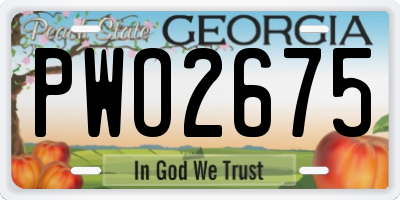 GA license plate PWO2675