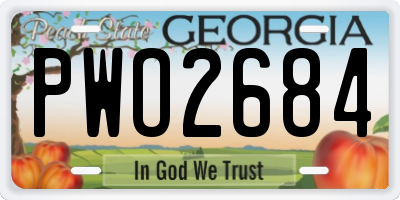 GA license plate PWO2684