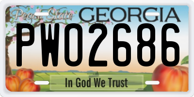 GA license plate PWO2686