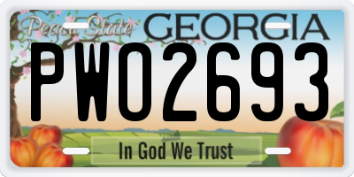 GA license plate PWO2693