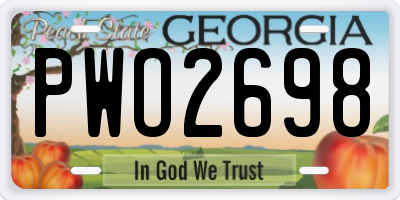 GA license plate PWO2698