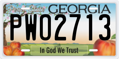 GA license plate PWO2713