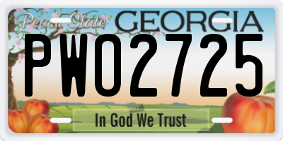 GA license plate PWO2725