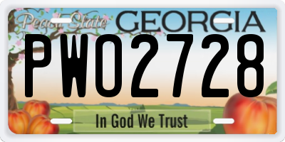 GA license plate PWO2728