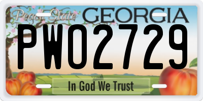 GA license plate PWO2729