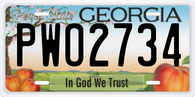 GA license plate PWO2734