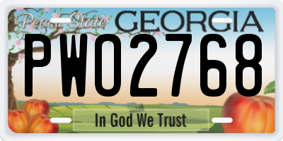 GA license plate PWO2768