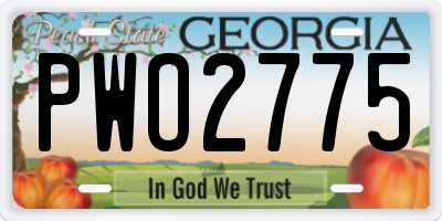 GA license plate PWO2775