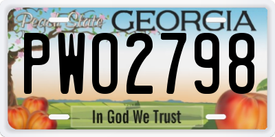 GA license plate PWO2798
