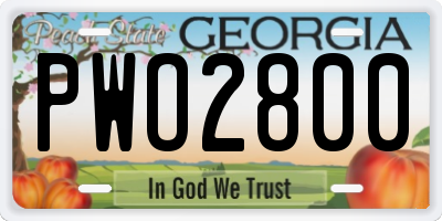 GA license plate PWO2800