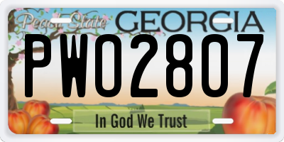 GA license plate PWO2807