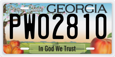 GA license plate PWO2810