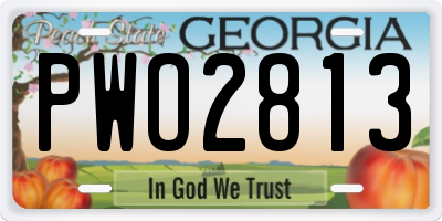 GA license plate PWO2813