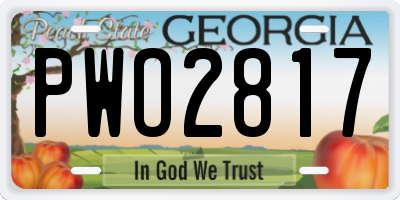 GA license plate PWO2817