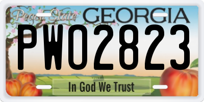 GA license plate PWO2823