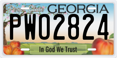 GA license plate PWO2824