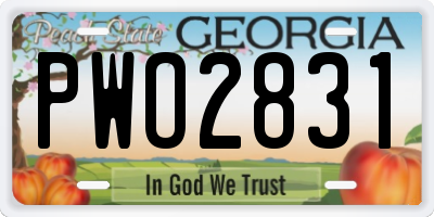 GA license plate PWO2831