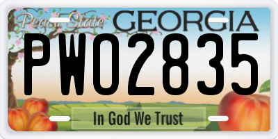 GA license plate PWO2835
