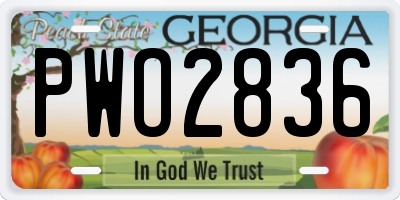 GA license plate PWO2836