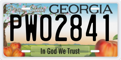 GA license plate PWO2841
