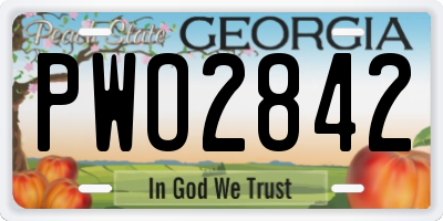 GA license plate PWO2842
