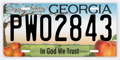 GA license plate PWO2843