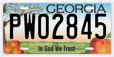 GA license plate PWO2845