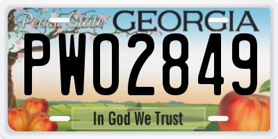 GA license plate PWO2849