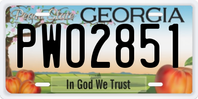 GA license plate PWO2851