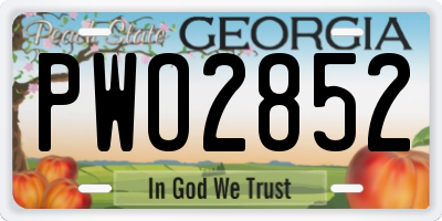 GA license plate PWO2852