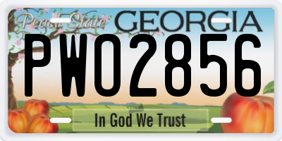 GA license plate PWO2856