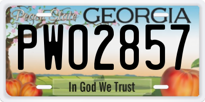 GA license plate PWO2857
