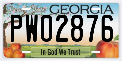 GA license plate PWO2876